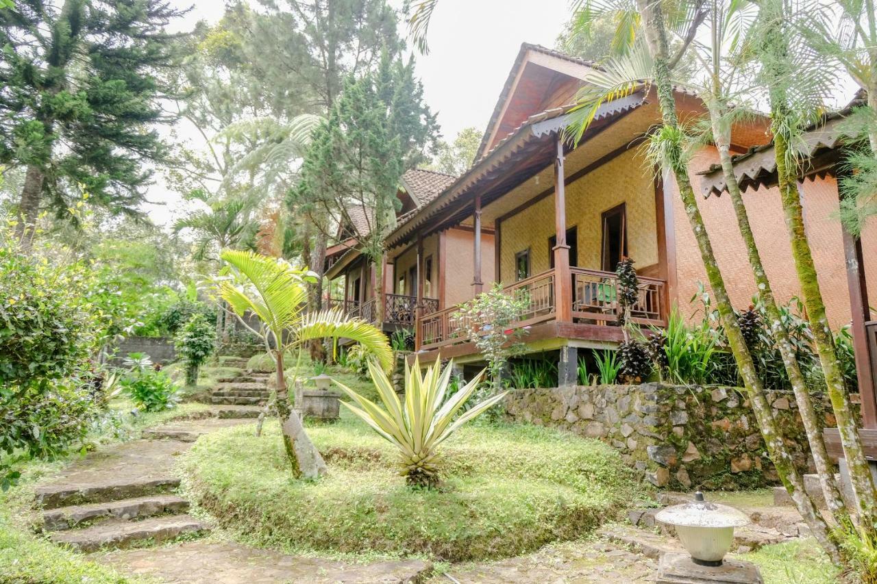 Oyo 1415 Ijen Residence Licin 외부 사진
